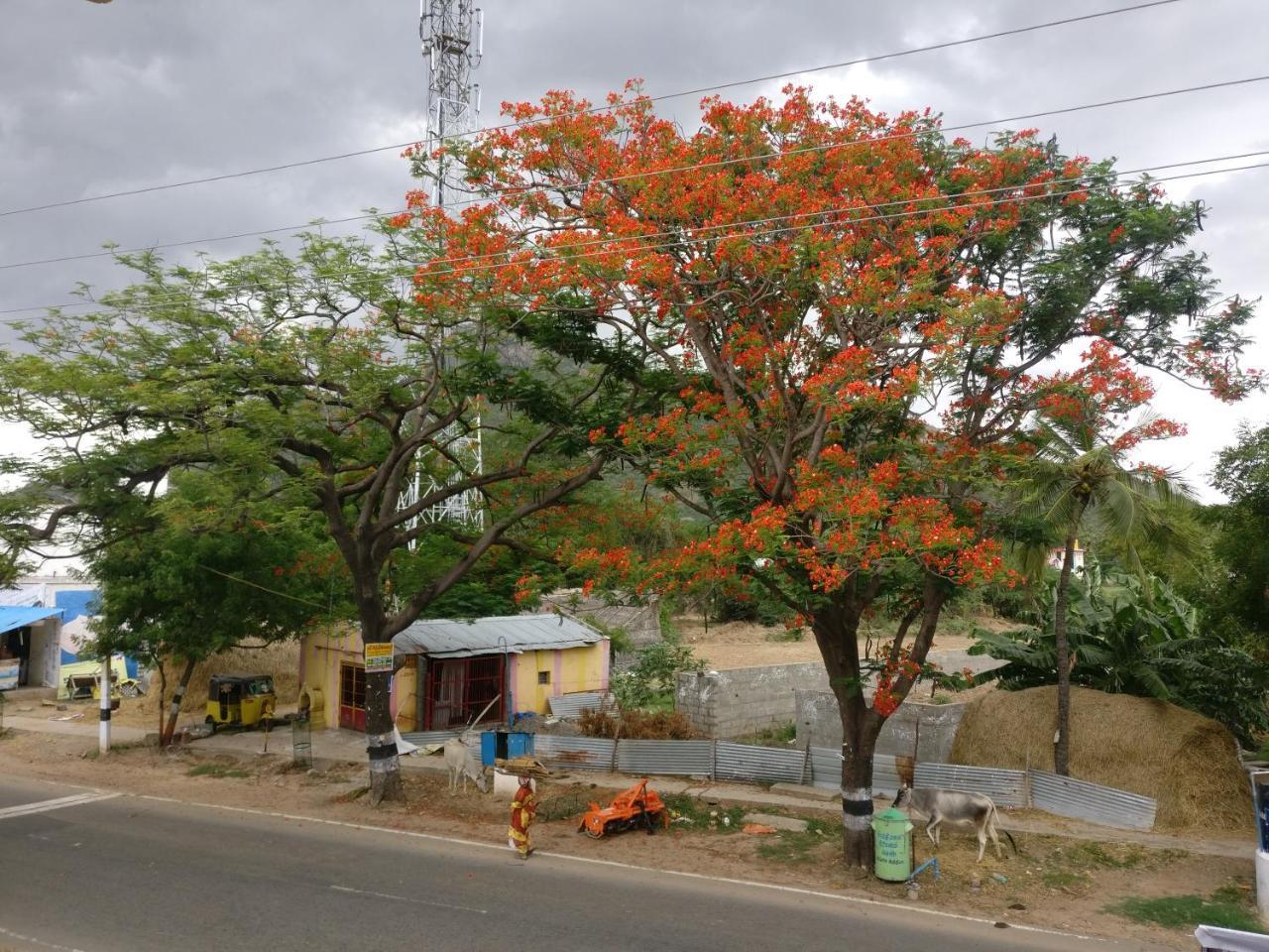 Selvalakshmi Restaurant And Lodge Tiruvannāmalai Esterno foto